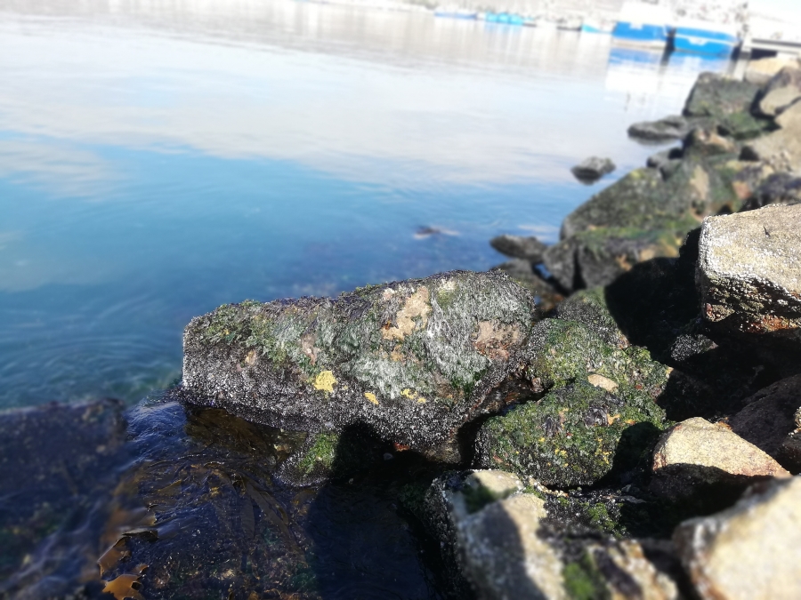 0 Bedroom Property for Sale in Brittania Beach Estate Western Cape